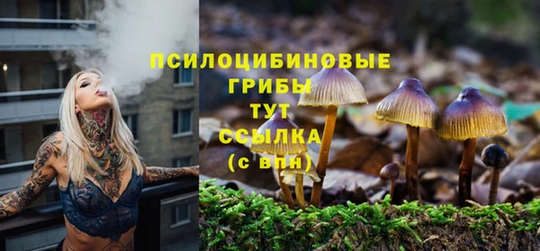 гидра Апатиты