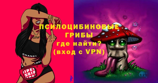 не бодяженный Медногорск